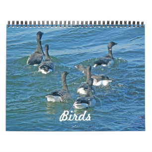 Mural Calendrier Oiseaux