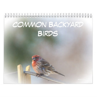 Mural Calendrier - Oiseaux communs de Jardin