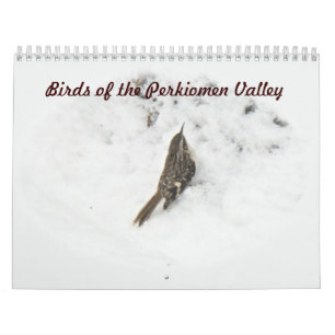Mural Calendrier - Oiseaux de la vallée du Perkiomen