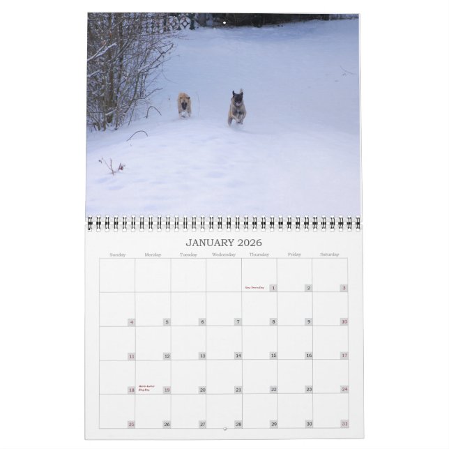 Mural Calendrier personnalisé imprimé (Jan 2026)