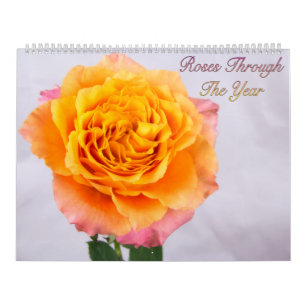 Mural Calendrier Photo de Roses à Travers l'Année