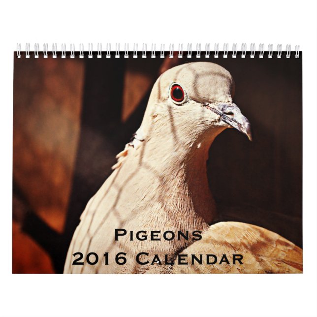 Mural Calendrier Pigeons 2016 (Protection)