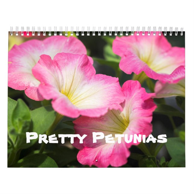 Mural Calendrier - Plutôt Petunias (Protection)
