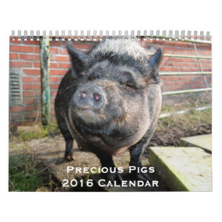 Mural Calendrier Precious Pigs 2016