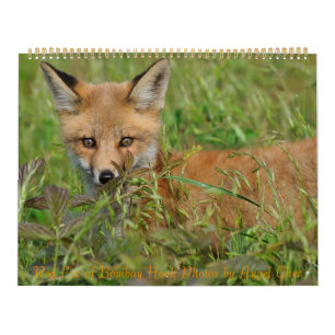 Mural Calendrier Red Fox par Angel Cher