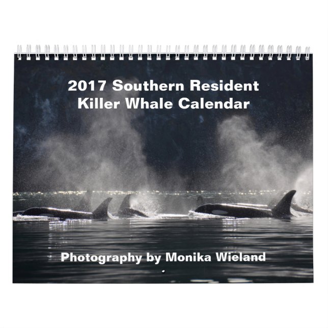 Mural Calendrier résident du sud d'épaulard 2017 (Protection)
