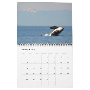 Mural Calendrier résident du sud d'épaulard 2018