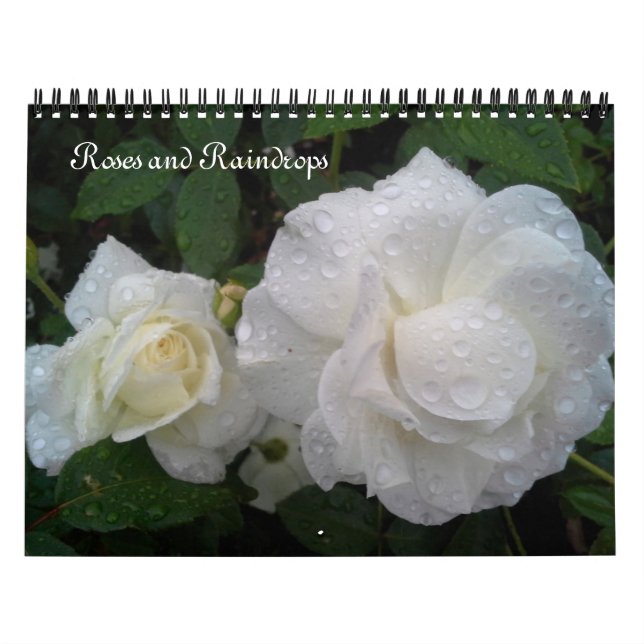 Mural Calendrier roses ET PLUIES (Protection)