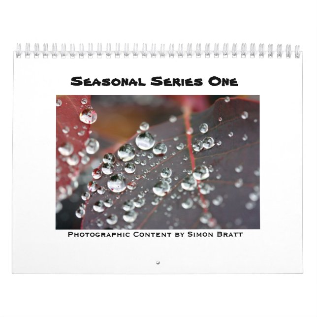 Mural Calendrier saisonnier 2011 (Protection)