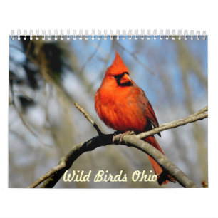 Mural Calendrier sauvage de l'Ohio d'oiseaux