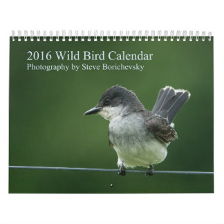 Mural Calendrier sauvage de l'oiseau 2016