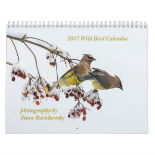 Mural Calendrier sauvage de l'oiseau 2017