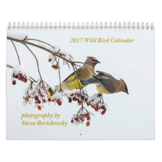 Mural Calendrier sauvage de l'oiseau 2017