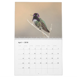 Mural Calendrier sauvage de l'oiseau 2018