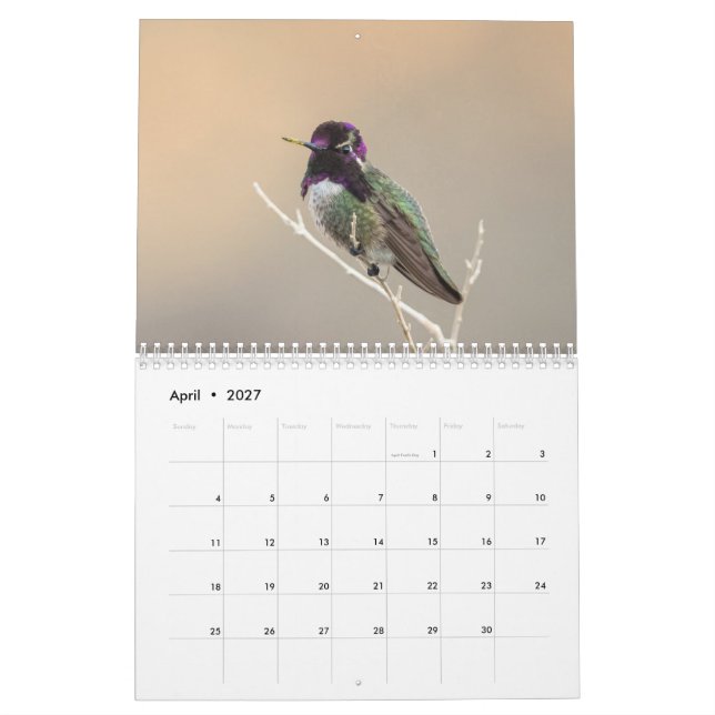 Mural Calendrier sauvage de l'oiseau 2018 (Apr 2027)