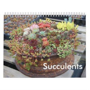 Mural Calendrier succulent