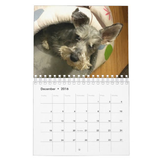 Mural Calendrier superbe d'Owen 2016