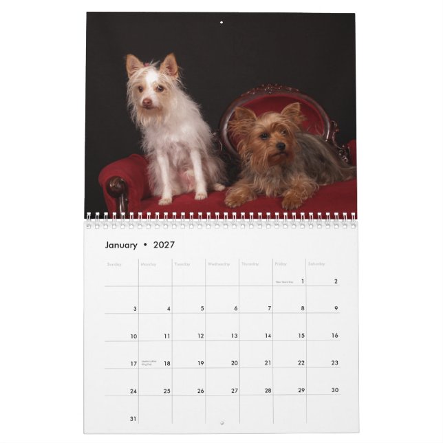 Mural Calendrier Yorkie Friends 2013 (Jan 2027)