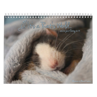 Mural C'est le calendrier du monde d'un rat