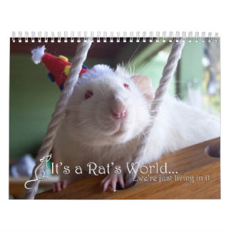 Mural C'est un calendrier 2016 du monde de rat