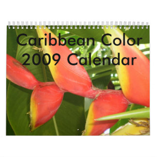 Mural Couleur des Caraïbes… le calendrier 2009 de fleurs