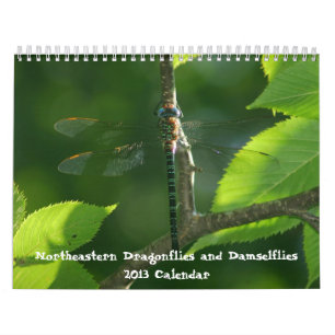 Mural Dragonflies du nord-est Damselflies Calendrier 201