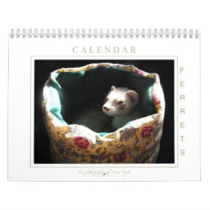 Mural Édition de calendrier de furet ?ère