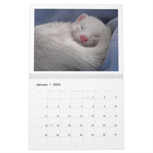 Mural Édition de calendrier de furet ?ère (Jan 2026)