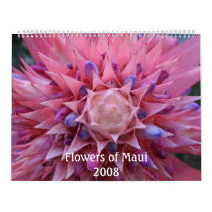 Mural Fleurs de calendrier de Maui 2008