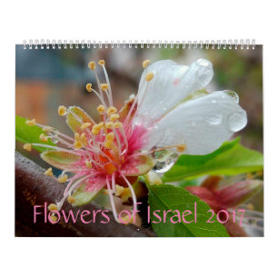 Mural Fleurs de l'Israël : Calendrier 2017