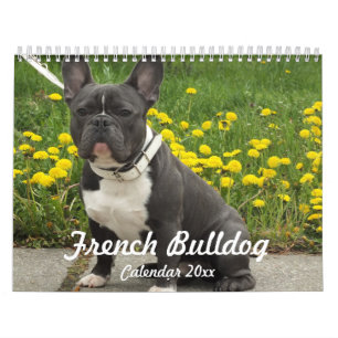 Mural French Bulldog Calendrier 2024 Ajouter Vos Photos