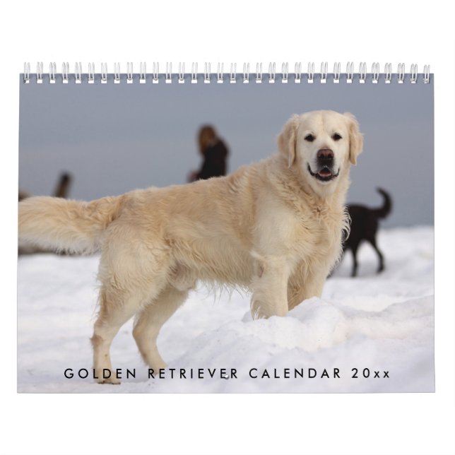 Mural Golden Retriever Calendrier 2023 Avec Vos Photos (Protection)