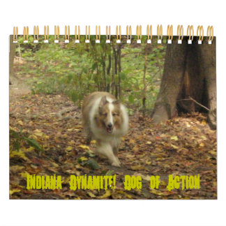 Mural Indiana Dynamite ! Calendrier des chiens d'action