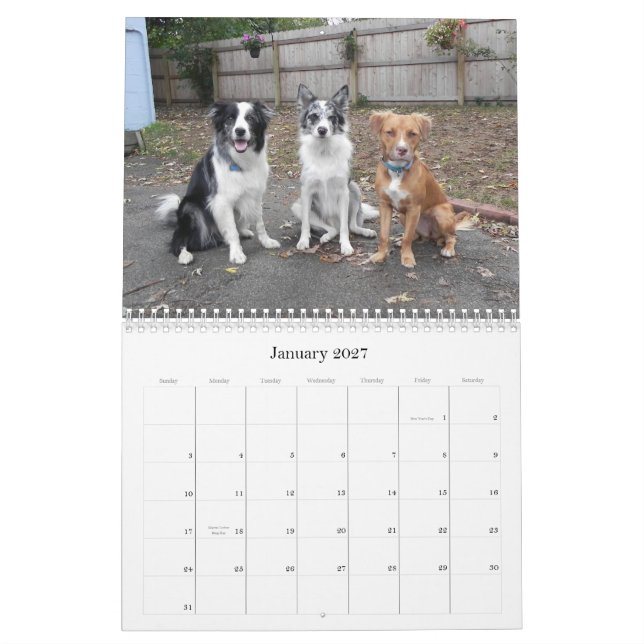 Mural Instantanés du calendrier de l'asile de fous 2012 (Jan 2027)