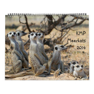 Mural KMP Meerkats - calendrier 2014