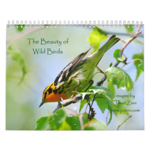 Mural La beauté du calendrier sauvage d'oiseaux