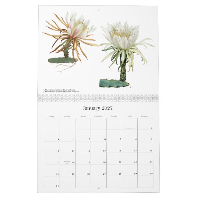 Mural Le cactus fleurit le calendrier (Jan 2027)