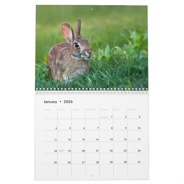Mural Le calendrier de WildRescue 2013 ! (Jan 2026)