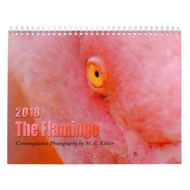 Mural Le Flamant rose - calendrier 2018 (Protection)
