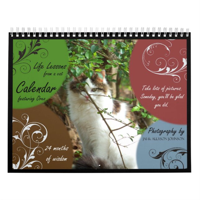 Mural Leçons de la vie d'un calendrier de chat (Protection)