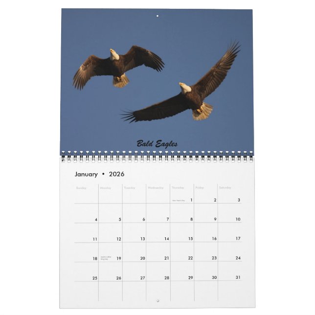 Mural Les oiseaux de Forsythe - calendrier officiel de (Jan 2026)