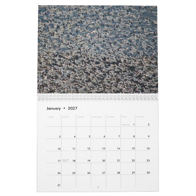 Mural Oies sauvages 2015 - calendrier d'oie (Jan 2027)