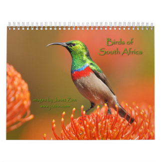 Mural Oiseaux de calendrier de l'Afrique du Sud