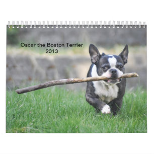 Mural Oscar le calendrier de Boston Terrier 2013
