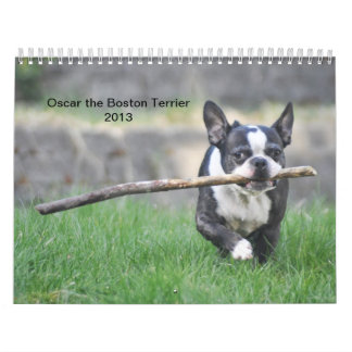 Mural Oscar le calendrier de Boston Terrier 2013