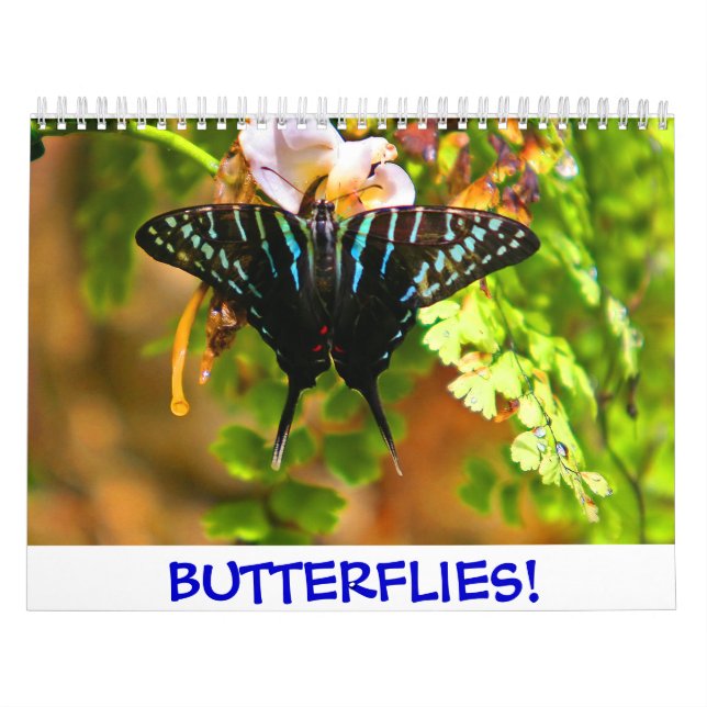 Mural Papillons ! Calendrier (Protection)