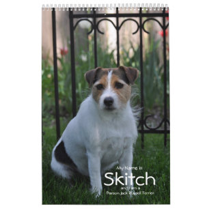 Mural Parson Jack Russell Terrier Chien Calendrier par J