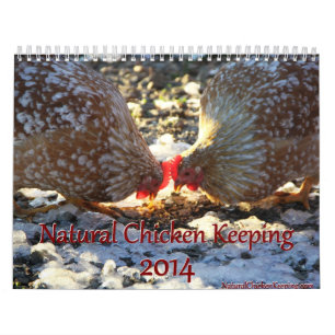 Mural Poulet naturel gardant le calendrier de 2014