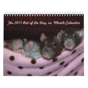 Mural Rat du jour, heu, calendrier de mois