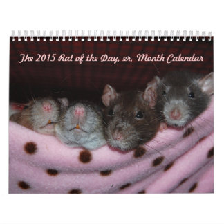 Mural Rat du jour, heu, calendrier de mois
